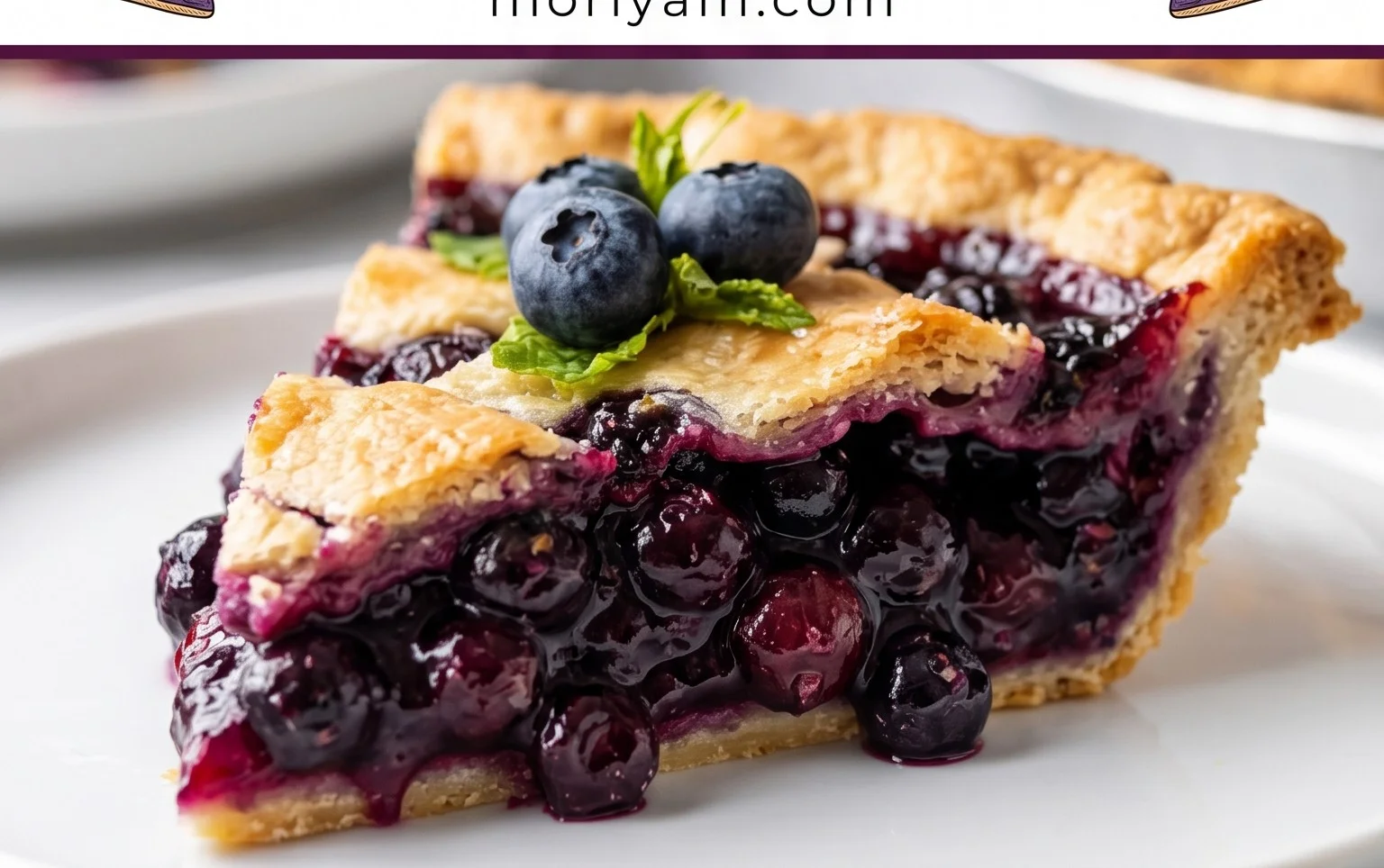 The Best Blueberry Pie Recipe